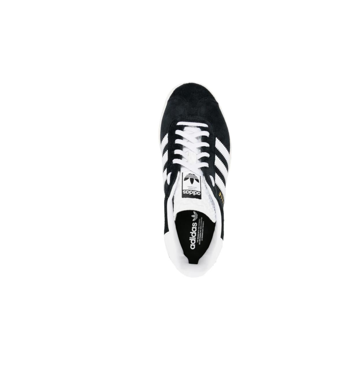 GAZELLE BOLD